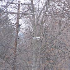 Dead end sign in a winter landscape