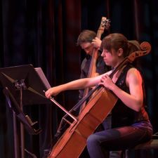 Low end string quartet